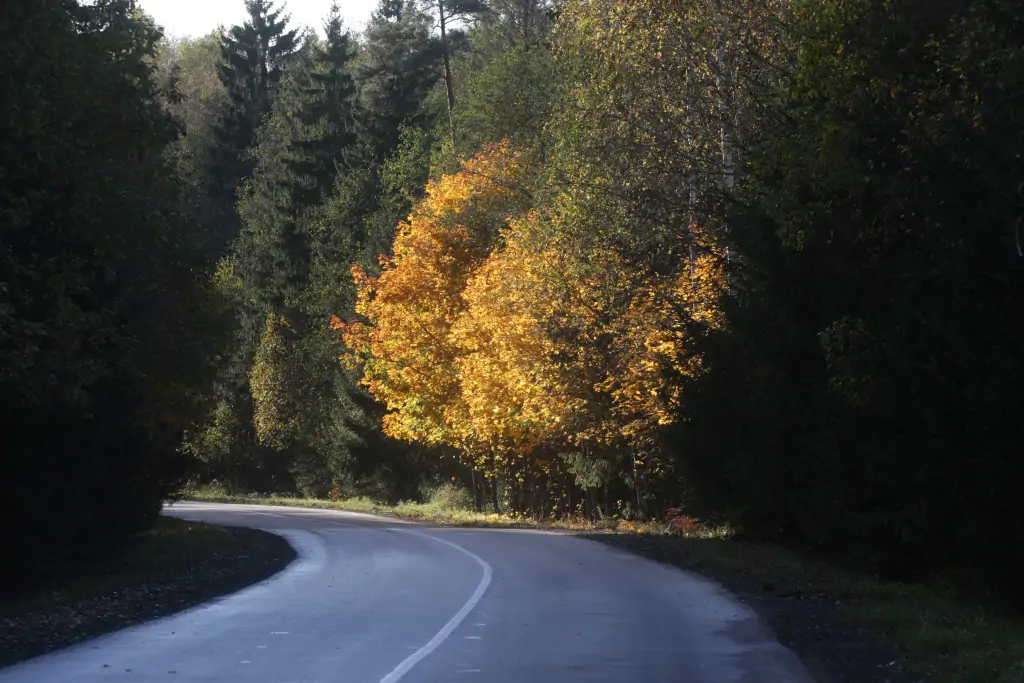 A29V9669.webp