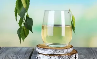 Березовица – живительное лекарство из недр самой природы!